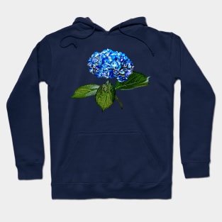 Blue Hydrangea With Leaves Hoodie